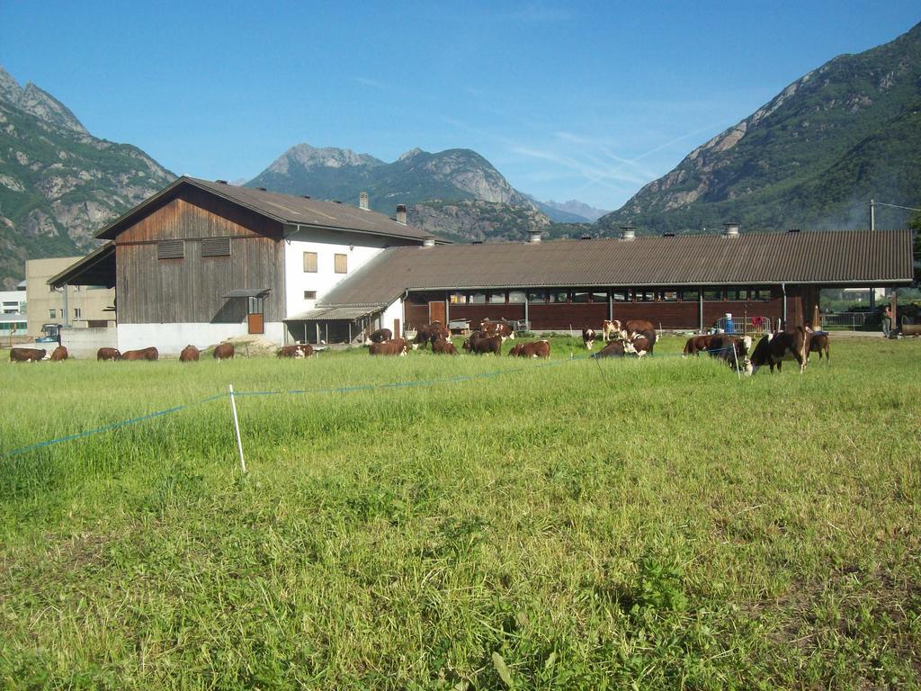 Agriturismo La Grange Пон-Сен-Мартен Экстерьер фото
