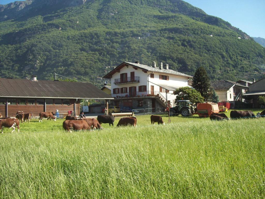 Agriturismo La Grange Пон-Сен-Мартен Экстерьер фото