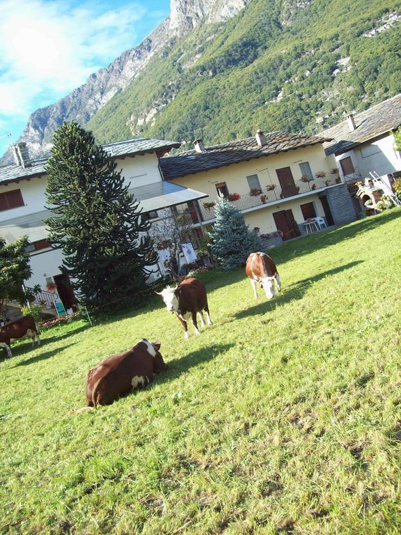 Agriturismo La Grange Пон-Сен-Мартен Экстерьер фото