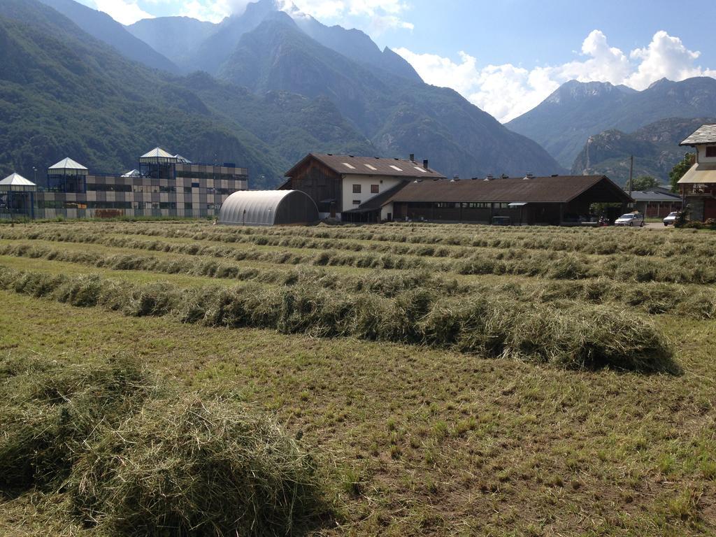 Agriturismo La Grange Пон-Сен-Мартен Экстерьер фото